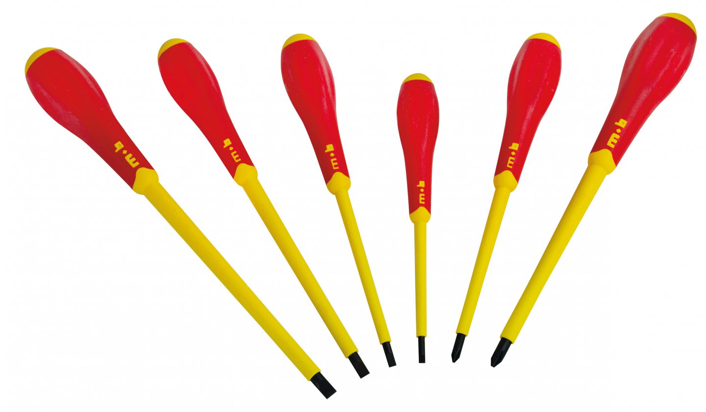 Screwdriver set, 6 pieces - slotted + pozidriv