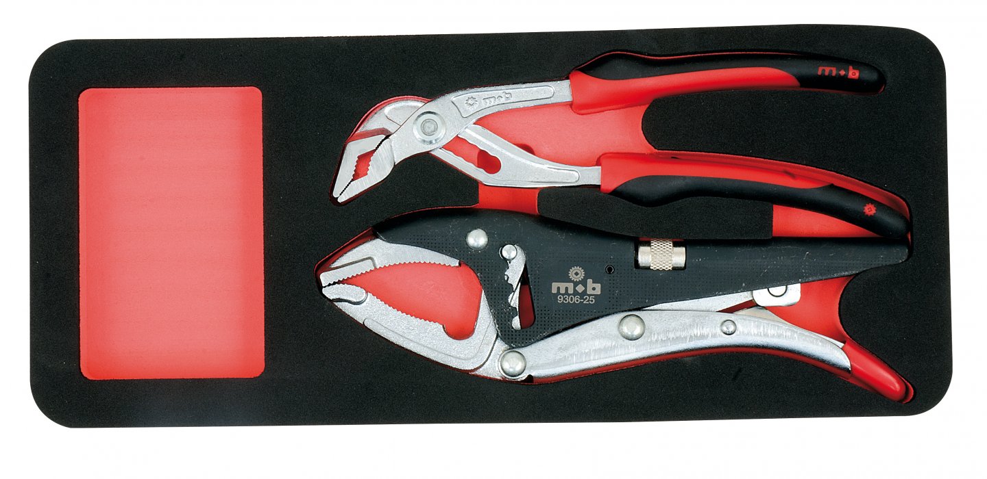Foam insert unit with 2 pliers