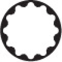 12 sides socket 1/4'' 03