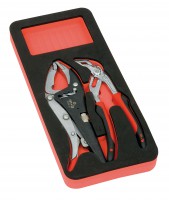 Foam insert unit with 2 pliers 03