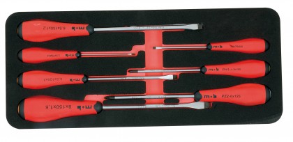 Foam unit of torx screwdrivers